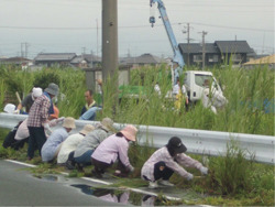 140601ryuyoshibu.jpg